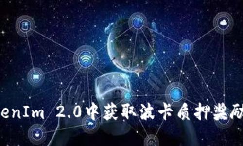 如何在TokenIm 2.0中获取波卡质押奖励：详尽指南