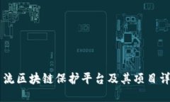主流区块链保护平台及其项目详解
