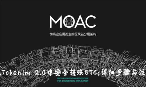 如何在Tokenim 2.0中安全转账BTC：详细步骤与注意事项