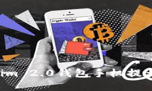 如何解决Tokenim 2.0钱包手机提示问题：完整指南