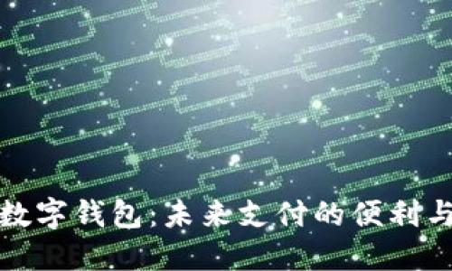 泉州数字钱包：未来支付的便利与安全