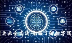 数字钱包硬件图片大全高清：全面了解