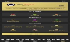 国外数字钱包的现状与前景：全面解析