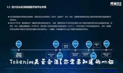 Tokenim是否合法？你需要知道的一切